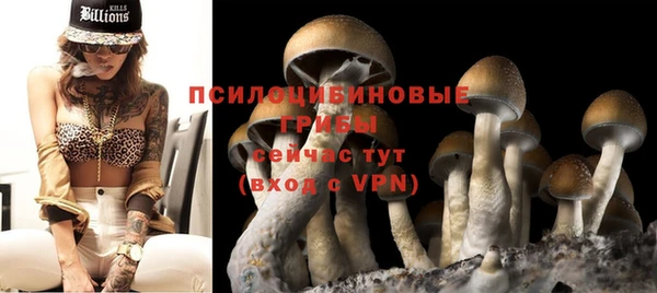 спиды Горнозаводск